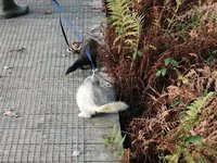 IMG_20201128_130009.jpg