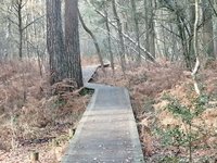 IMG_20201128_130436.jpg