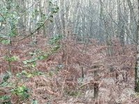 IMG_20201128_130545.jpg