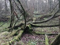 IMG_20201128_130839.jpg
