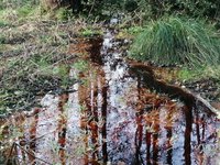 IMG_20201128_131111.jpg