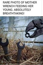 wrench.jpg