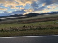 AAD47607-0C78-4DDC-96AC-16DC04D99323.jpeg