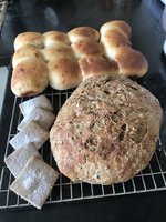 72B19B70-5CC9-43BC-9101-09875544DAF8.jpeg 72B19B70-5CC9-43BC-9101-09875544DAF8.jpeg