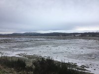 DE62BCA8-251E-415A-A17D-1C83084DA1ED.jpeg