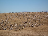 IMG_0876.JPG