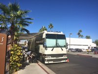 8E218ED4-1B05-406C-A436-612CE76E40B5.jpeg 8E218ED4-1B05-406C-A436-612CE76E40B5.jpeg