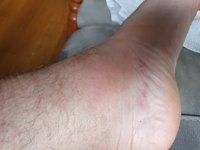 20210527_185619.jpg 20210527_185619.jpg