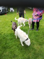 IMG_20210527_171108.jpg