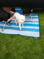 IMG_20210527_171111.jpg