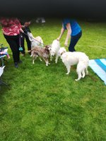 IMG_20210527_171118.jpg