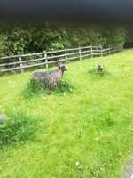 IMG_20210528_122118.jpg