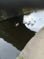 IMG_20210528_124006.jpg
