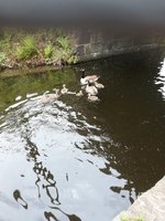 IMG_20210528_124022.jpg