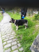 IMG_20210528_124035.jpg