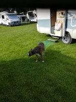 IMG_20210529_172113.jpg