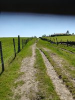IMG_20210530_140329.jpg