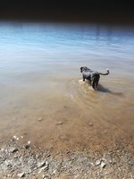 IMG_20210530_152128.jpg