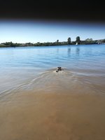 IMG_20210530_152221.jpg