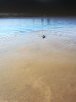 IMG_20210530_152225.jpg
