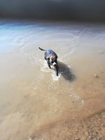 IMG_20210530_152230.jpg