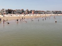 IMG_20210615_133032.jpg