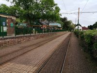 IMG_20210617_193426.jpg