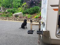 20210707_141614.jpg 20210707_141614.jpg