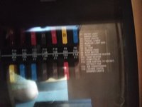 IMG_20210712_092121.jpg