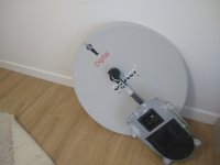 IMG_20210812_081440577.jpg