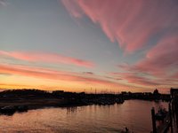 IMG_20210919_192006.jpg IMG_20210919_192006.jpg