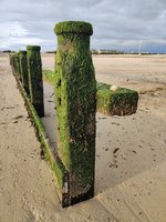 IMG_20210919_181734.jpg IMG_20210919_181734.jpg