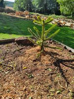 20210916_134805.jpg 20210916_134805.jpg