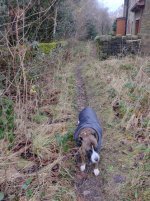 1D-O8D~1.JPG 1D-O8D~1.JPG