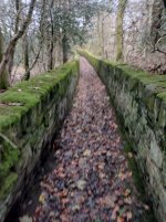 RTBWS2~1.JPG RTBWS2~1.JPG