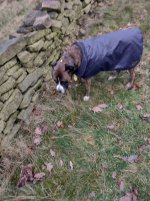 XPJ6-I~1.JPG XPJ6-I~1.JPG