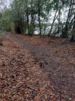 Y3JDRK~1.JPG Y3JDRK~1.JPG