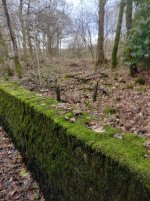 ZWB8ZI~1.JPG ZWB8ZI~1.JPG