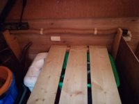 IMG_20211212_140434.jpg IMG_20211212_140434.jpg