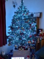 20211207_194649.jpg