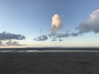 134652A6-AE30-419B-968A-BEED3411DA2D.jpeg
