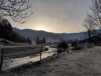 20220326_073255.jpg