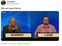 Screenshot 2022-07-01 at 22-22-22 Jane-Marie on Twitter.png