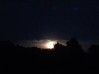 20220713_223445.jpg
