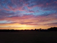 20220713_212359.jpg
