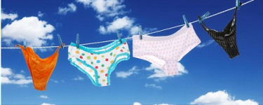 y fronts.png y fronts.png