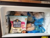 IMG_20220722_102028.jpg