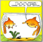 goldfish.PNG