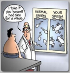 sperm.PNG