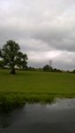 WP_20180806_001.jpg
